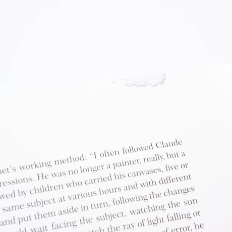 【Outlet】Monet: The Bigger Picture