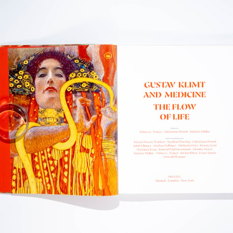 Gustav Klimt and Medicine: The Flow of Life