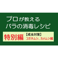 プロが教えるバラの消毒レシピ　特別編 【成虫対策】　コガネムシ、カメムシ編
