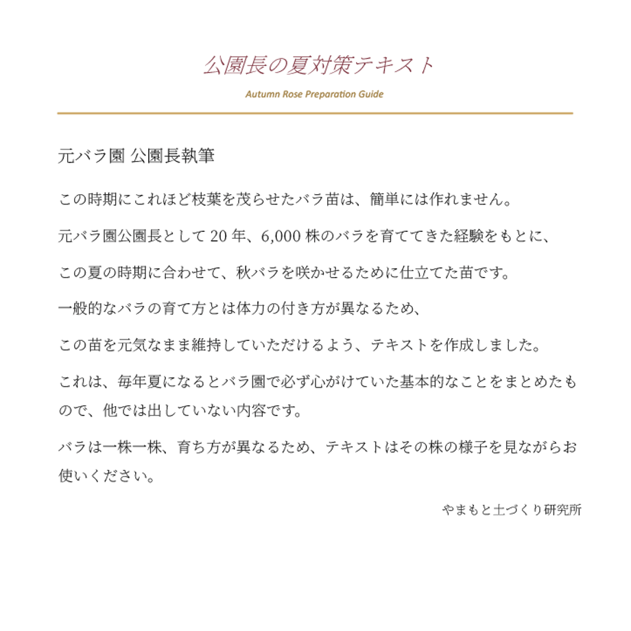 6a5b413c444dc8b3fa995d62