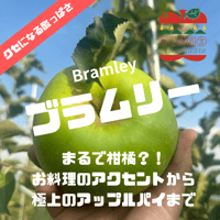 【まるで柑橘！？極上のアップルパイを】ブラムリーアップル 約1㎏〜4.5㎏箱(3玉〜25玉) 【9月上旬以降発送開始】