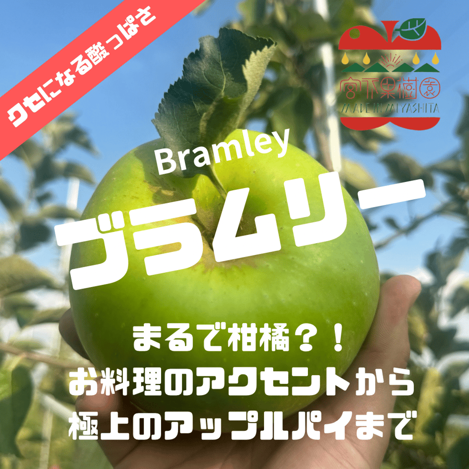 66e01ea816b7bc0755cb2568