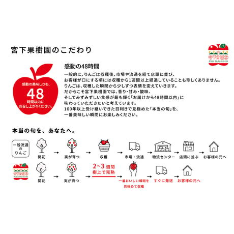 【ひとくち食べればそこは青春時代】【アップルロマンス】【ジューシーすぎる夏林檎】シナノリップ 約1㎏〜4.5kg箱(4玉〜23玉) 【8月中旬以降発送開始】