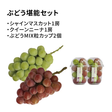 【予約販売】シャインマスカット×クイーンニーナぶどうセット