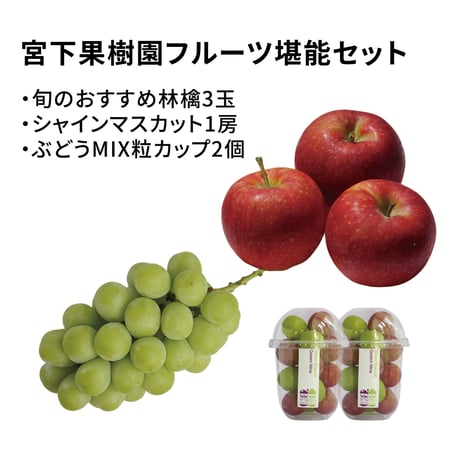 【予約販売】宮下果樹園りんご&ぶどうセット