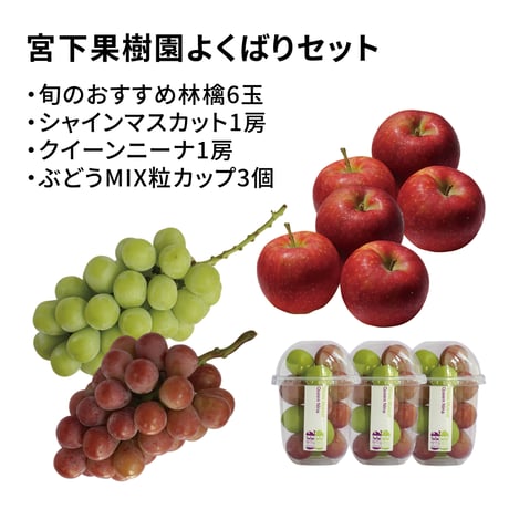 【予約販売】宮下果樹園りんご&ぶどうセット