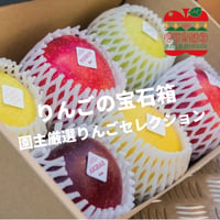 りんごの宝石箱【園主厳選りんごセレクション】｜【11月下旬〜12月下旬順次発送】