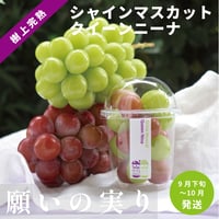 【予約販売】シャインマスカット×クイーンニーナぶどうセット