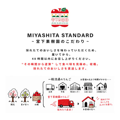 【予約販売】宮下果樹園りんご&ぶどうセット
