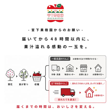 【まるでハチミツ完熟南高梅】 紅玉 約1㎏〜4.5㎏箱(5玉〜25玉) 【10月上旬以降発送開始】