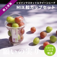 【予約販売】シャインマスカット×クイーンニーナMIX粒カップセット