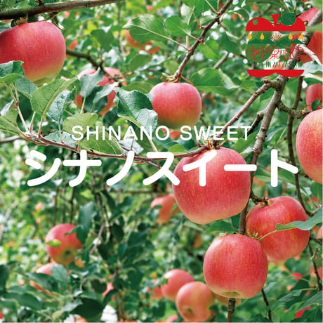 シナノスイート｜ 1.5〜4.5kg箱(5玉〜25玉）【10月下旬〜順次発送】