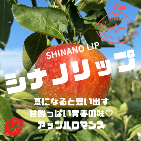 【ひとくち食べればそこは青春時代】【アップルロマンス】【ジューシーすぎる夏林檎】シナノリップ 約1㎏〜4.5kg箱(4玉〜23玉) 【8月中旬以降発送開始】