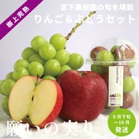 【予約販売】宮下果樹園りんご&ぶどうセット