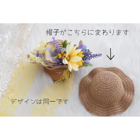 【限定】ラベンダー香るひまわりハット