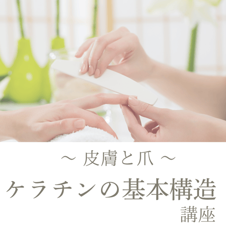 【10/4】皮膚と爪・ケラチンの基本構造講座(テキスト付き)