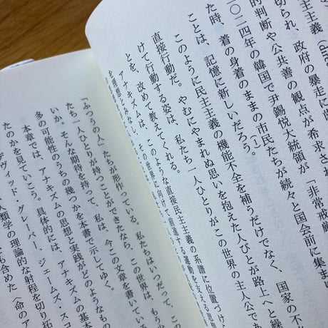 比嘉理麻｜命のアナキズム-沖縄の海と森と米軍基地の人類学-