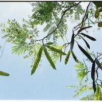 赤木遥｜アフターエキシビジョンオキナワO