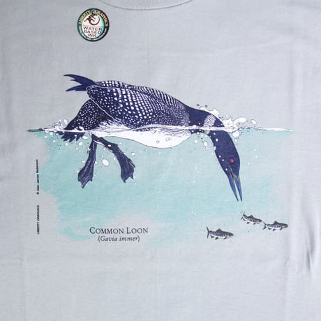 LIBERTY GRAPHICS　Feeding Loon for women's