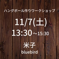 【11/7(土)13:30】ワークショップ@米子bluebird