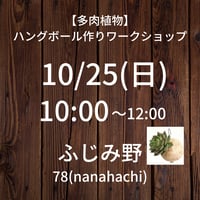 満席【10/25(日)10:00】 多肉植物で作るワークショップ@ふじみ野78(nanahachi)