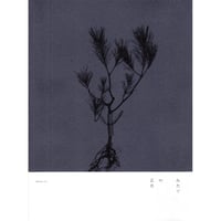 猫町紀行 - つげ義春 | ホホホ座浄土寺店