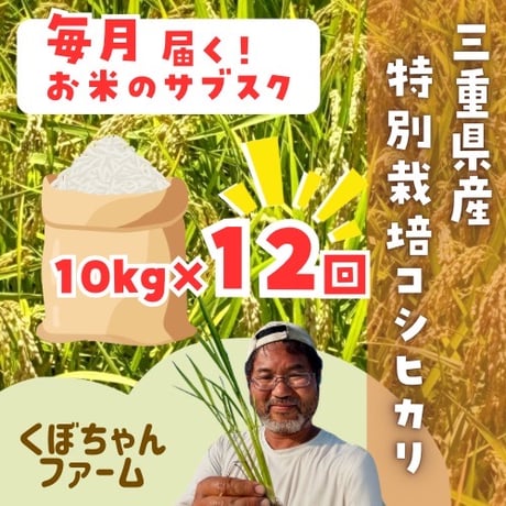 【10kg定期便】くぼちゃんファーム 特別栽培米コシヒカリ
