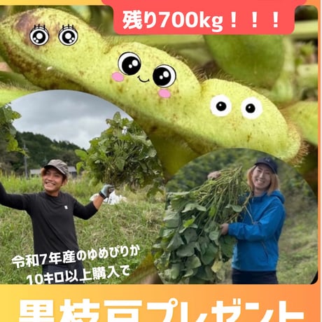 ◎令和7年産　北海道産 特別栽培ゆめぴりか