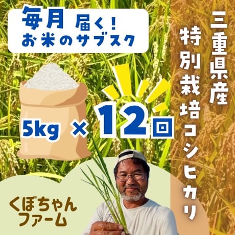 【5kg定期便】くぼちゃんファーム 特別栽培米コシヒカリ
