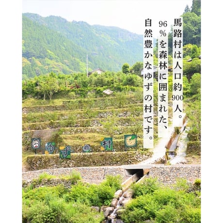 【柚子生産日本一】馬路村のポン酢食べ比べセット