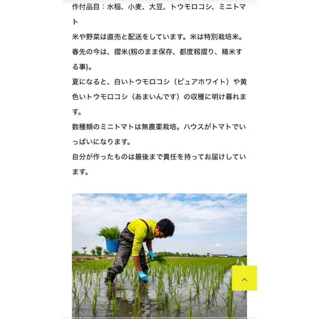 ◎令和7年産　北海道産 特別栽培ゆめぴりか