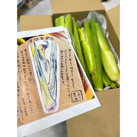 【大阪・能勢 水口農園】焼いてよし煮てよし マコモダケ 2kg（12〜16本目安）