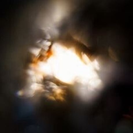 DONATION (寄付2,000円)→「二つのフッド〜生まれた街と選んだ街vol.2 HALLEY篇〜アジア／韓国／千葉／タイ／カナダ／香港／湘南／信仰」音声データ［63分54秒］