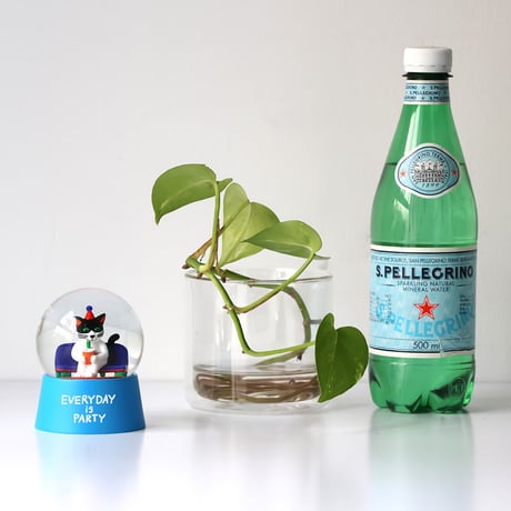 Snow Globe "Everyday is Party"
