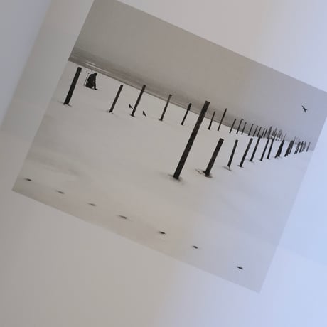 Des Oiseaux / Pentti Sammallahti