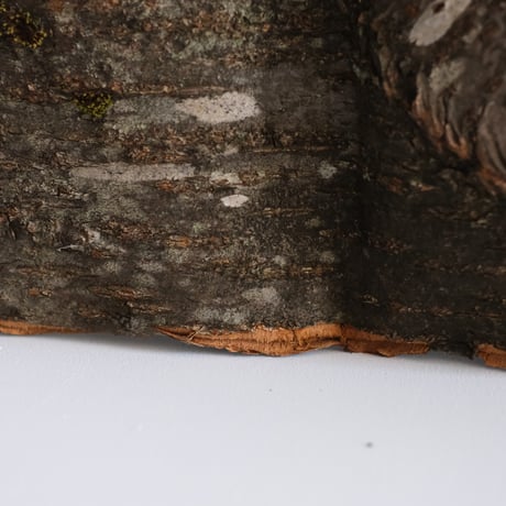 山桜一枚皮特大手提げ籠