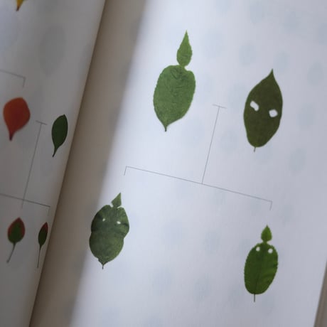 Book of Plants / Anne Geene