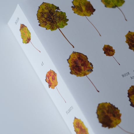 Book of Plants / Anne Geene