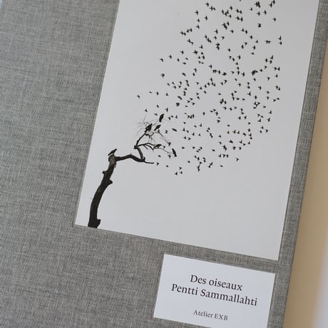 Des Oiseaux / Pentti Sammallahti