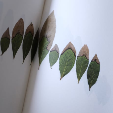 Book of Plants / Anne Geene