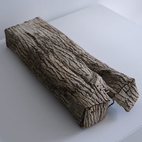 美山胡桃 箱（特大）