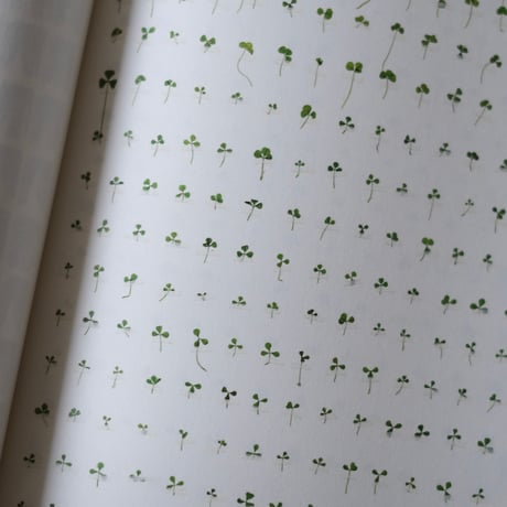 Book of Plants / Anne Geene