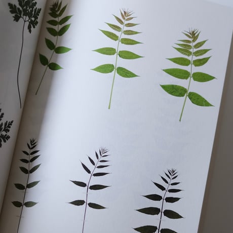 Book of Plants / Anne Geene