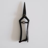 竹二作 / Thinning shears