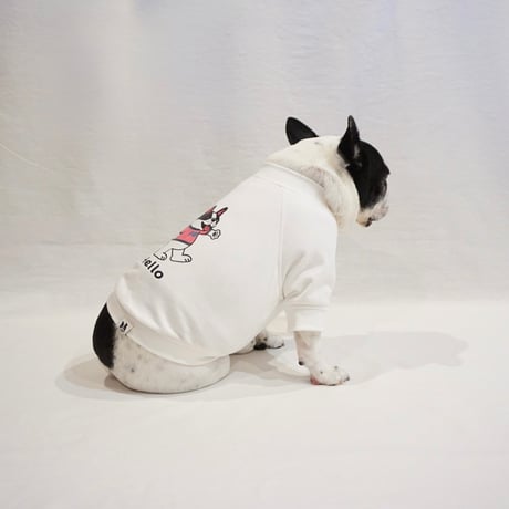 ✔ ︎ HelloスウェットTシャツ