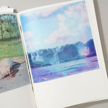 Illuminance: The Tenth Anniversary Edition / 川内倫子(Rinko Kawauchi)