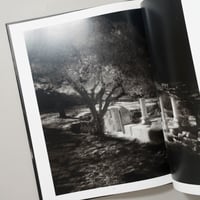 Celestial Nights / Neil Folberg(ニール・フォルバーグ)