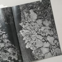 [新刊サイン入/New,Signed] 植物、暗室のための習作 / 横田大輔(Daisuke Yokota)