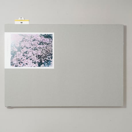 SAKURA / 鈴木理策(Risaku Suzuki)