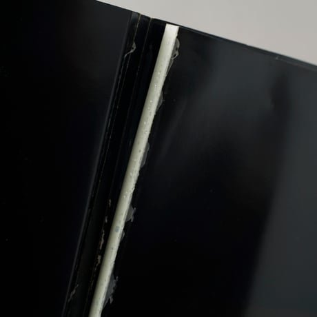 Photographs / Rankin(ランキン)